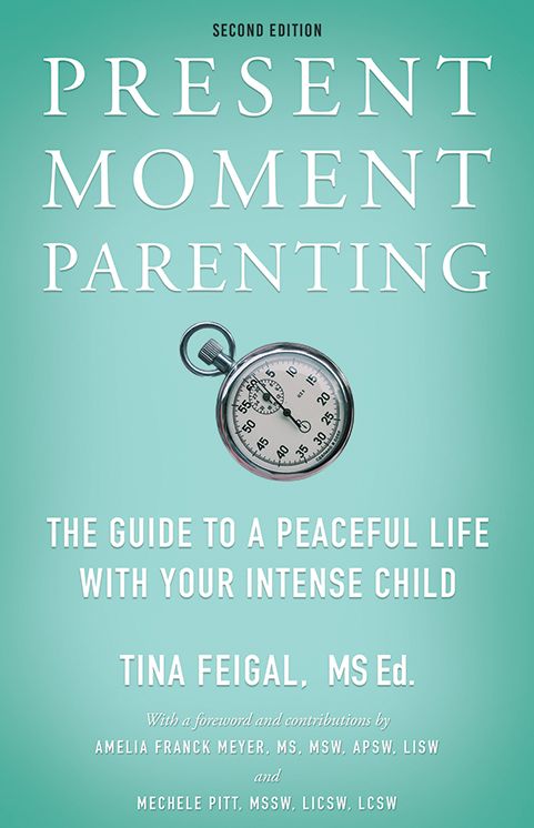Present Moment Parenting: The Guide to a Peaceful Life with Your Intense Child