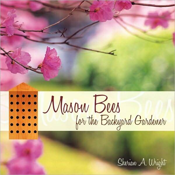 Mason Bees For The Backyard Gardener