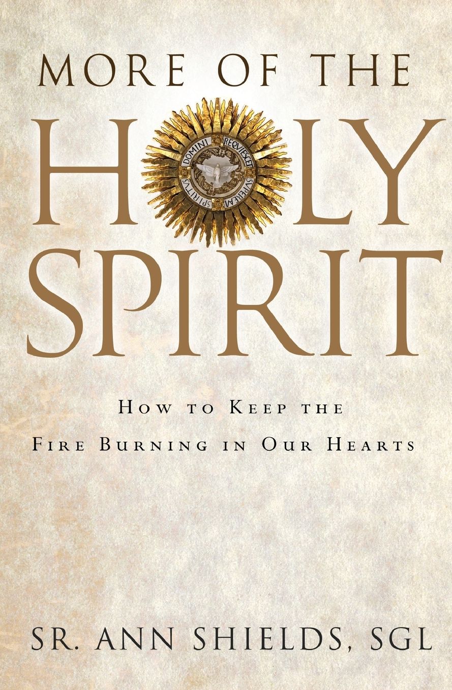 More of the Holy Spirit: How to Keep the Fire Burning in Our Hearts