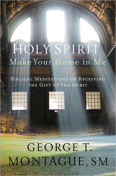 Holy Spirit, Make Your Home in Me: Biblical Meditations on Receiving the Gift of the Spirit