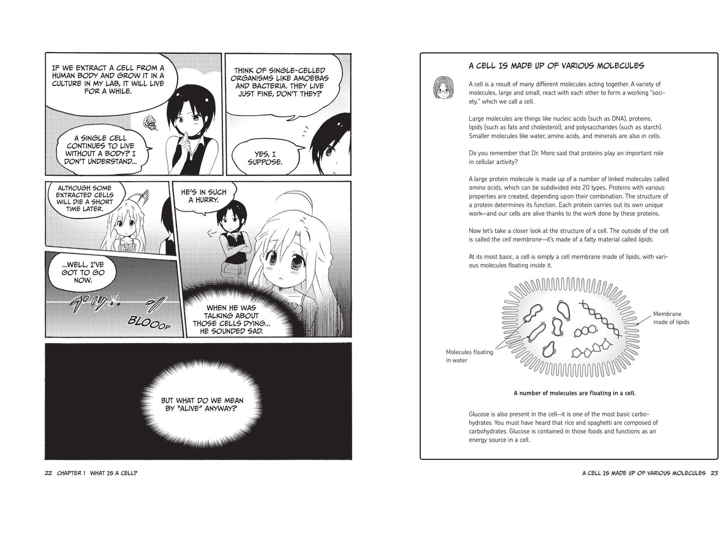 The Manga Guide to Molecular Biology