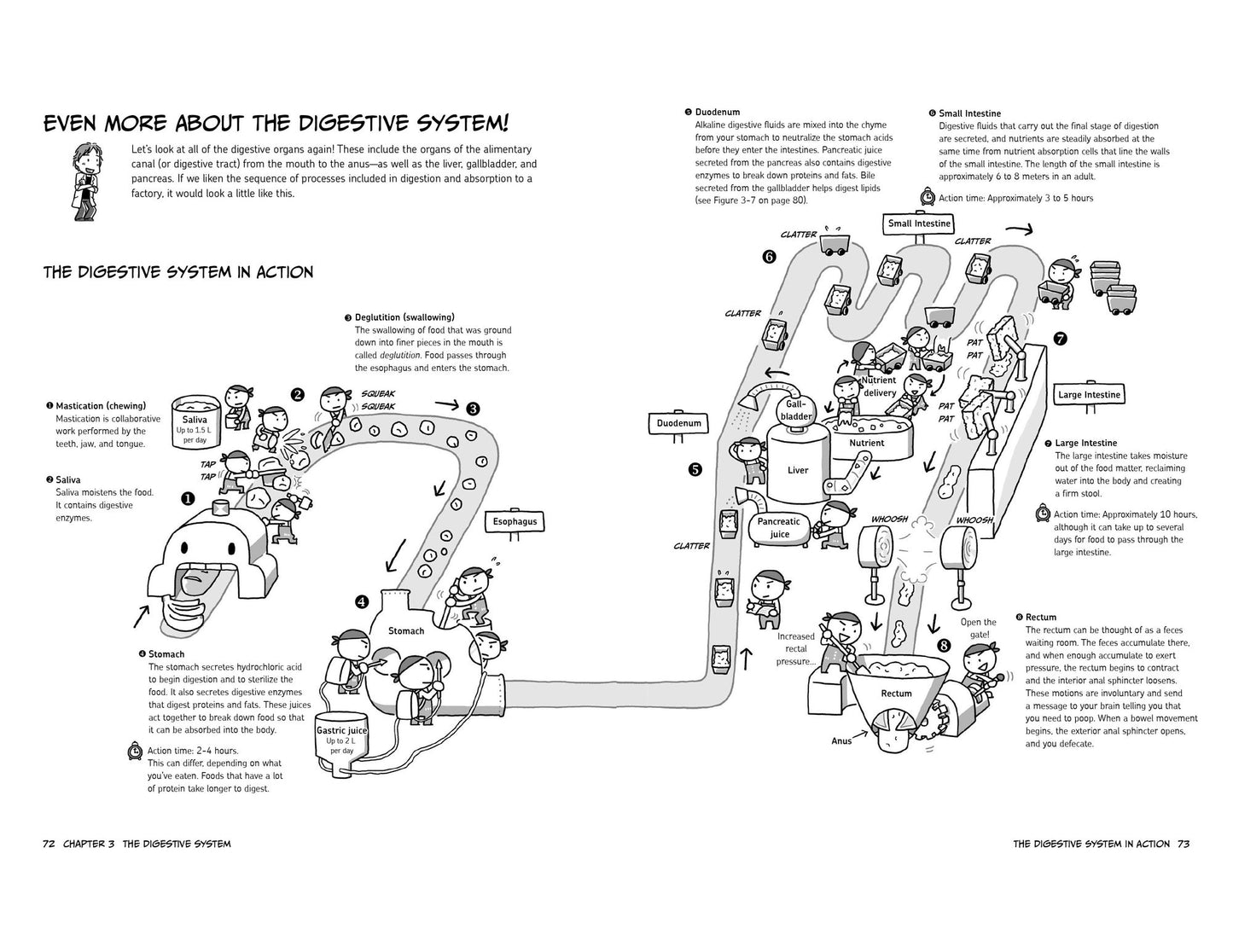 The Manga Guide to Physiology