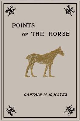 Points Of The Horse