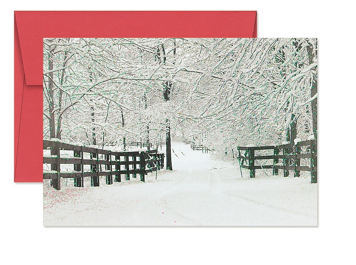 Winter Tracks Christmas Boxed Card