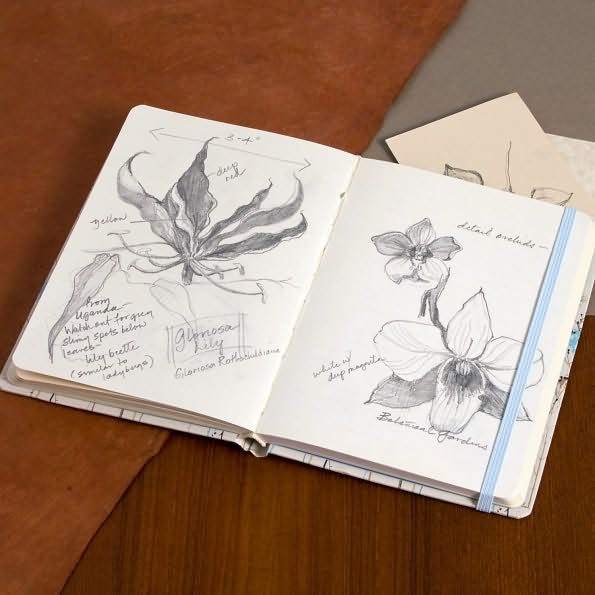 Butterflies Beige/Blue Bound Journal (5'x7")