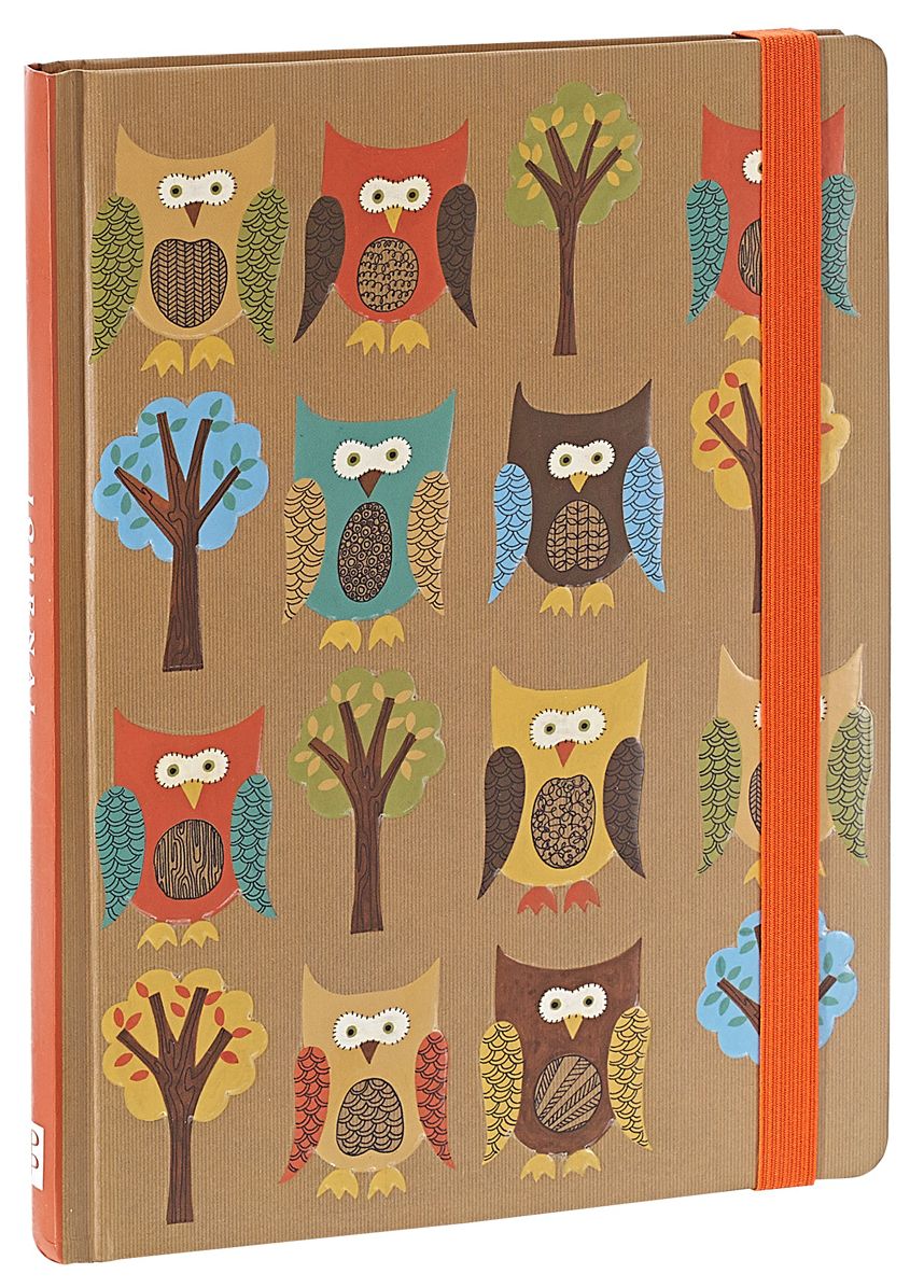 Owls Bound Lined Journal 6" x 8"