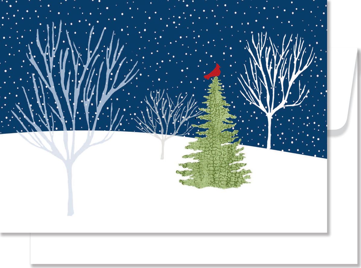 Midnight Cardinal Christmas Boxed Cards