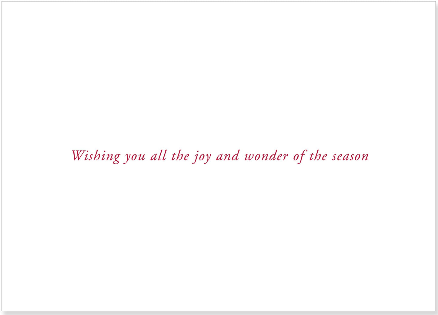 Midnight Cardinal Christmas Boxed Cards