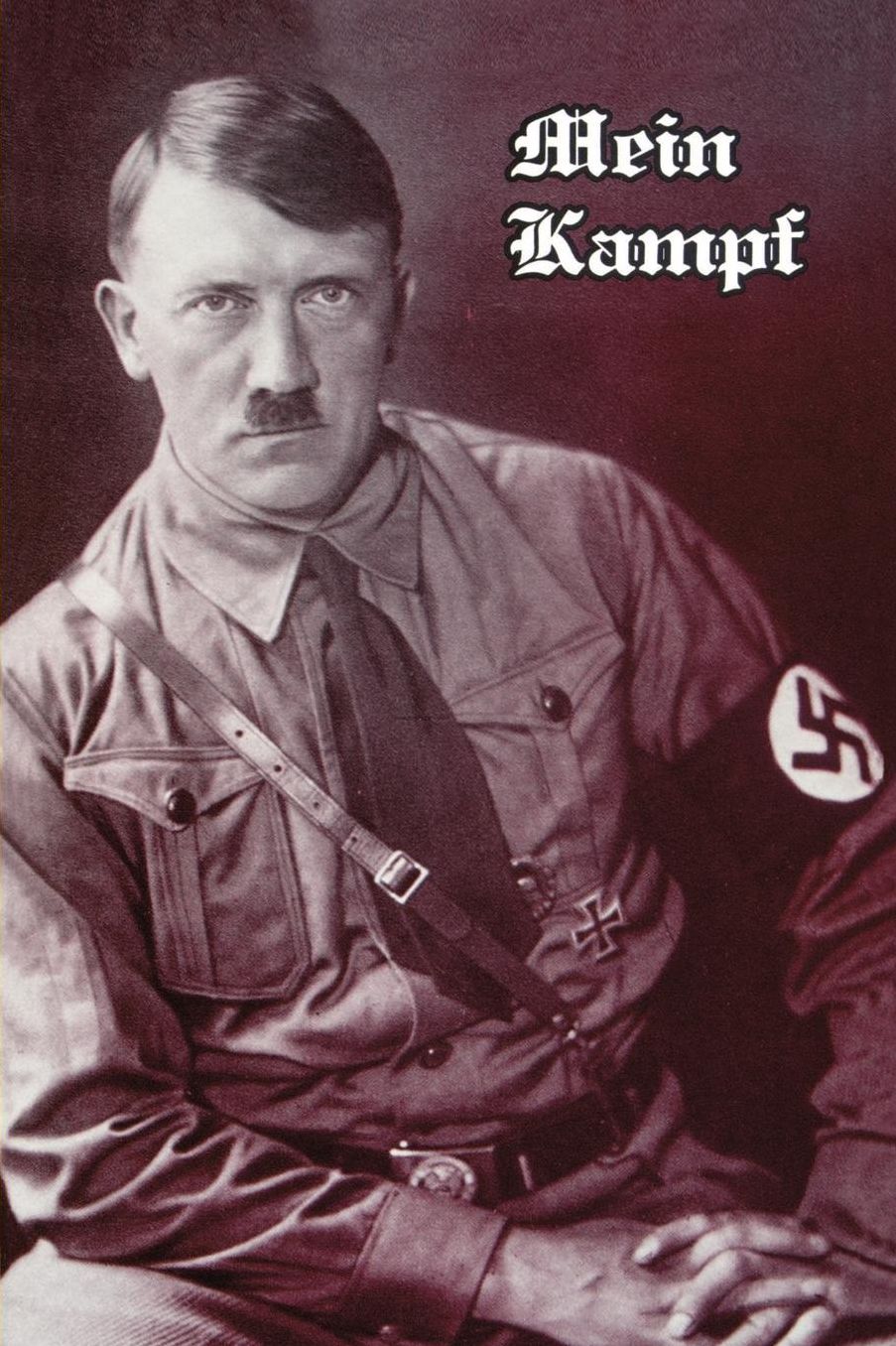 Mein Kampf: A Retrospect/The National Socialist Movement