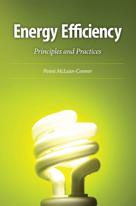 Energy Efficiency: Principles and Practices