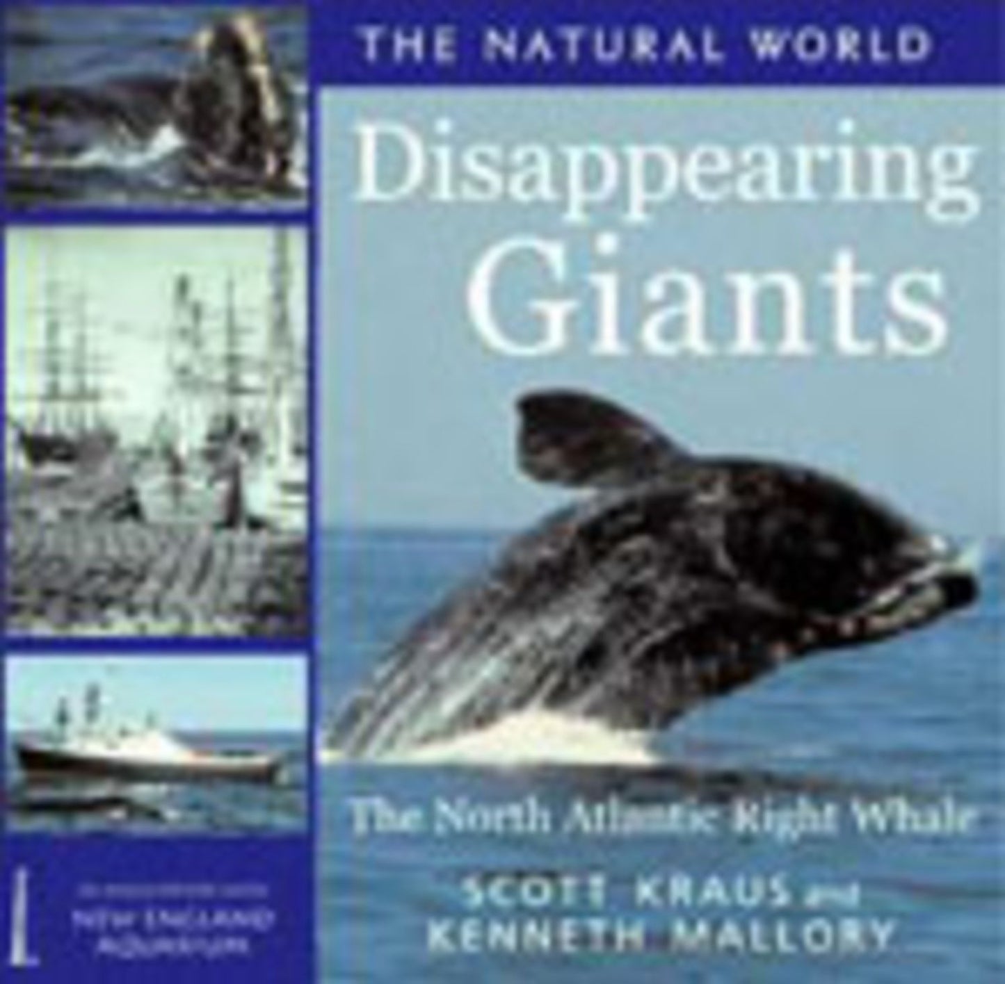 Right Whale: The Fight Against Extinction