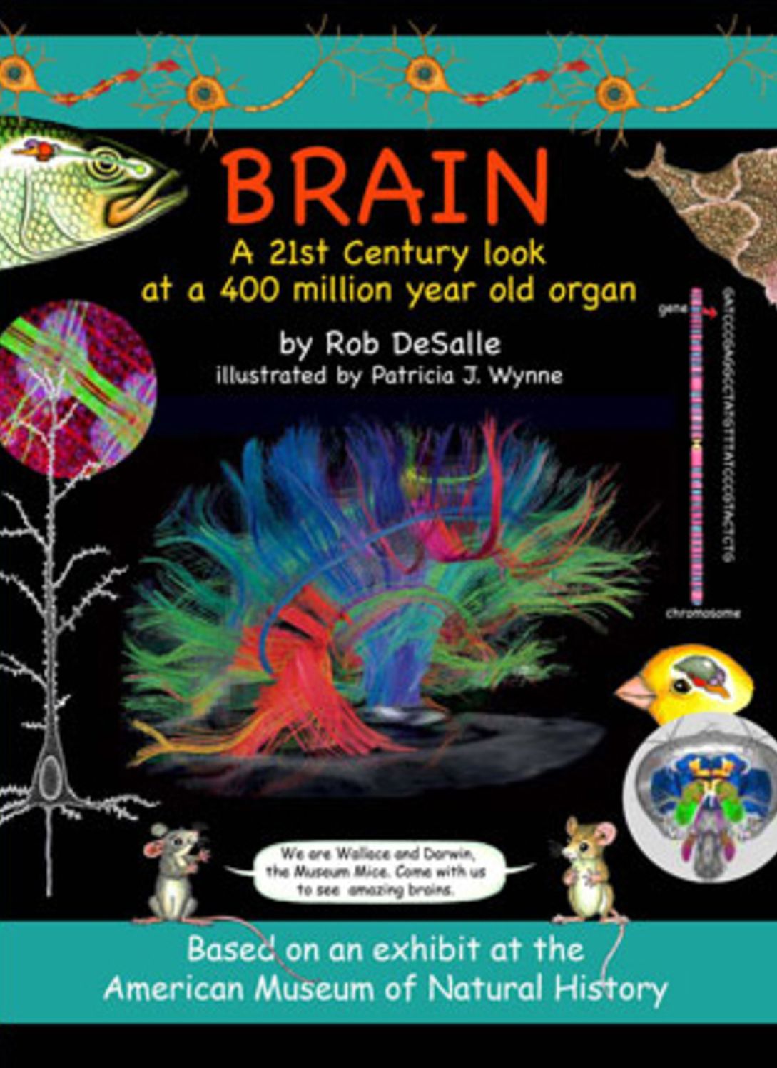 Brain: A 21st Century Look at a 400 Million Year Old Organ