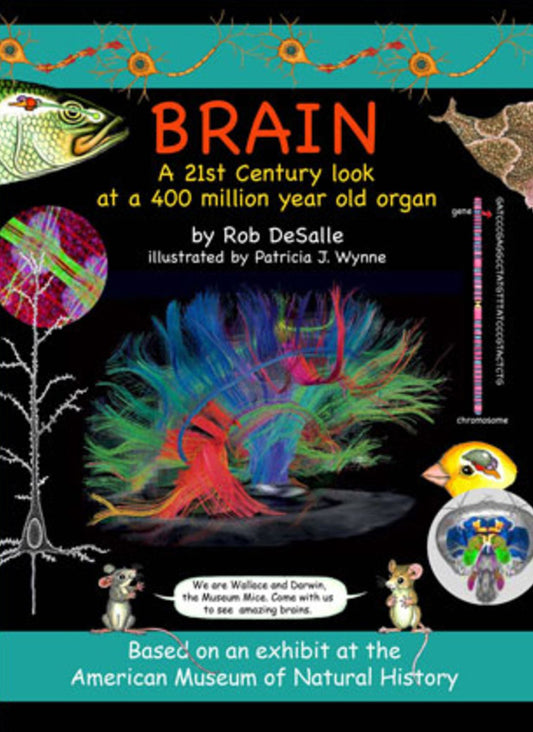 Brain: A 21st Century Look at a 400 Million Year Old Organ