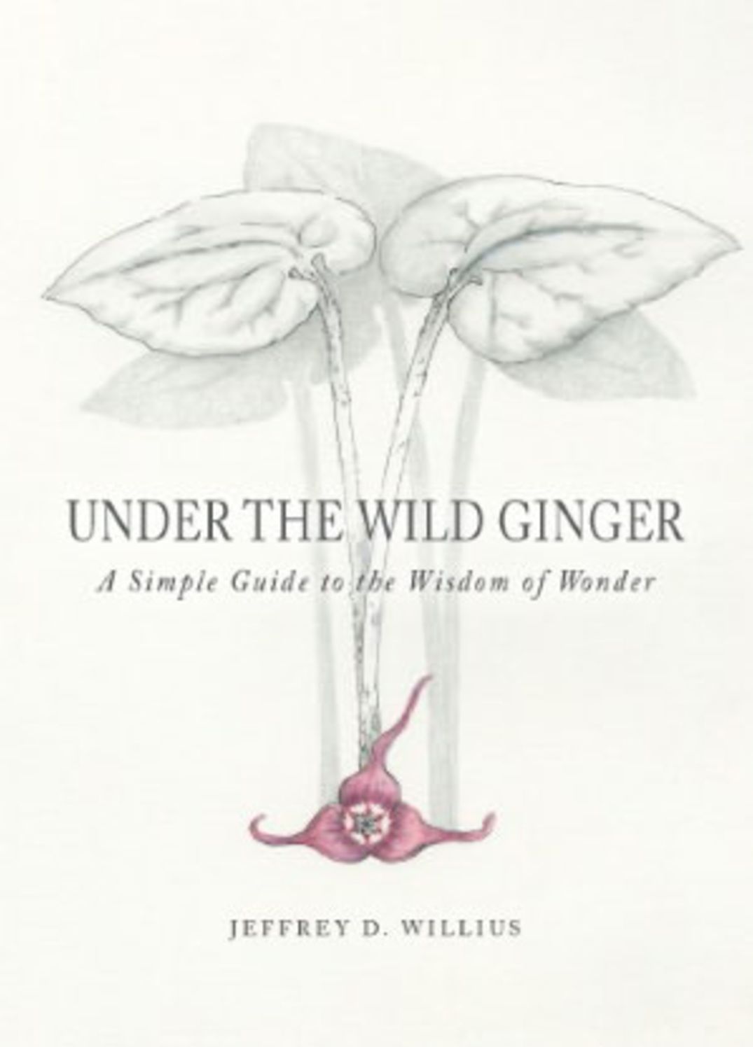 Under The Wild Ginger: A Simple Guide to the Wisdom of Wonder