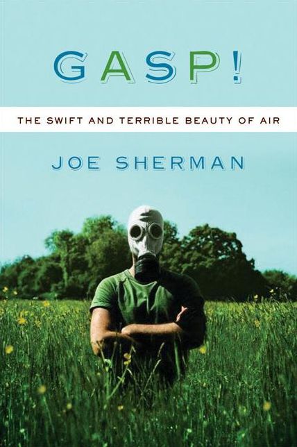 Gasp! The Swift and Terrible Beauty of Air