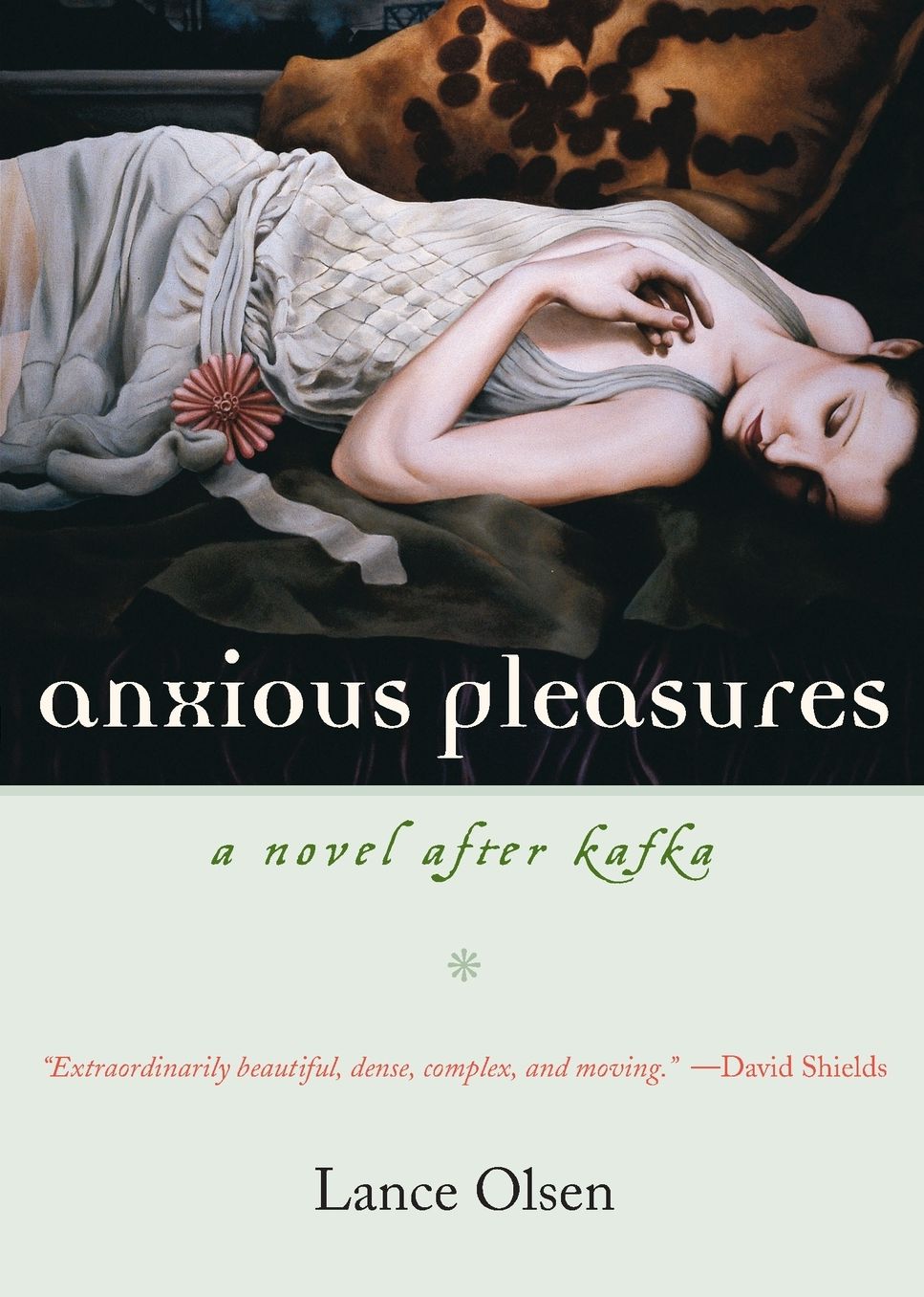 Anxious Pleasures: A Novel after Kafka