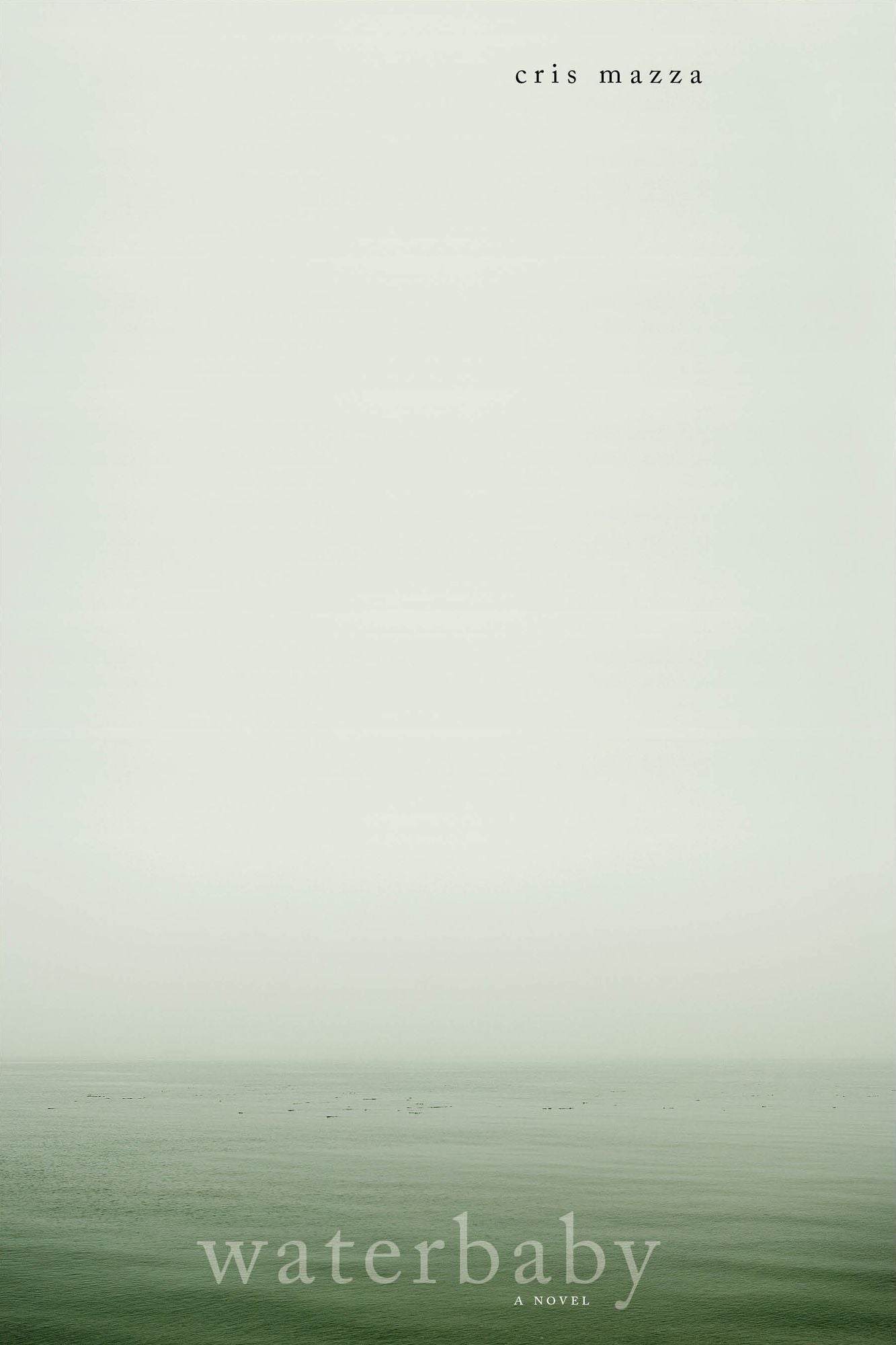 Waterbaby: A Novel