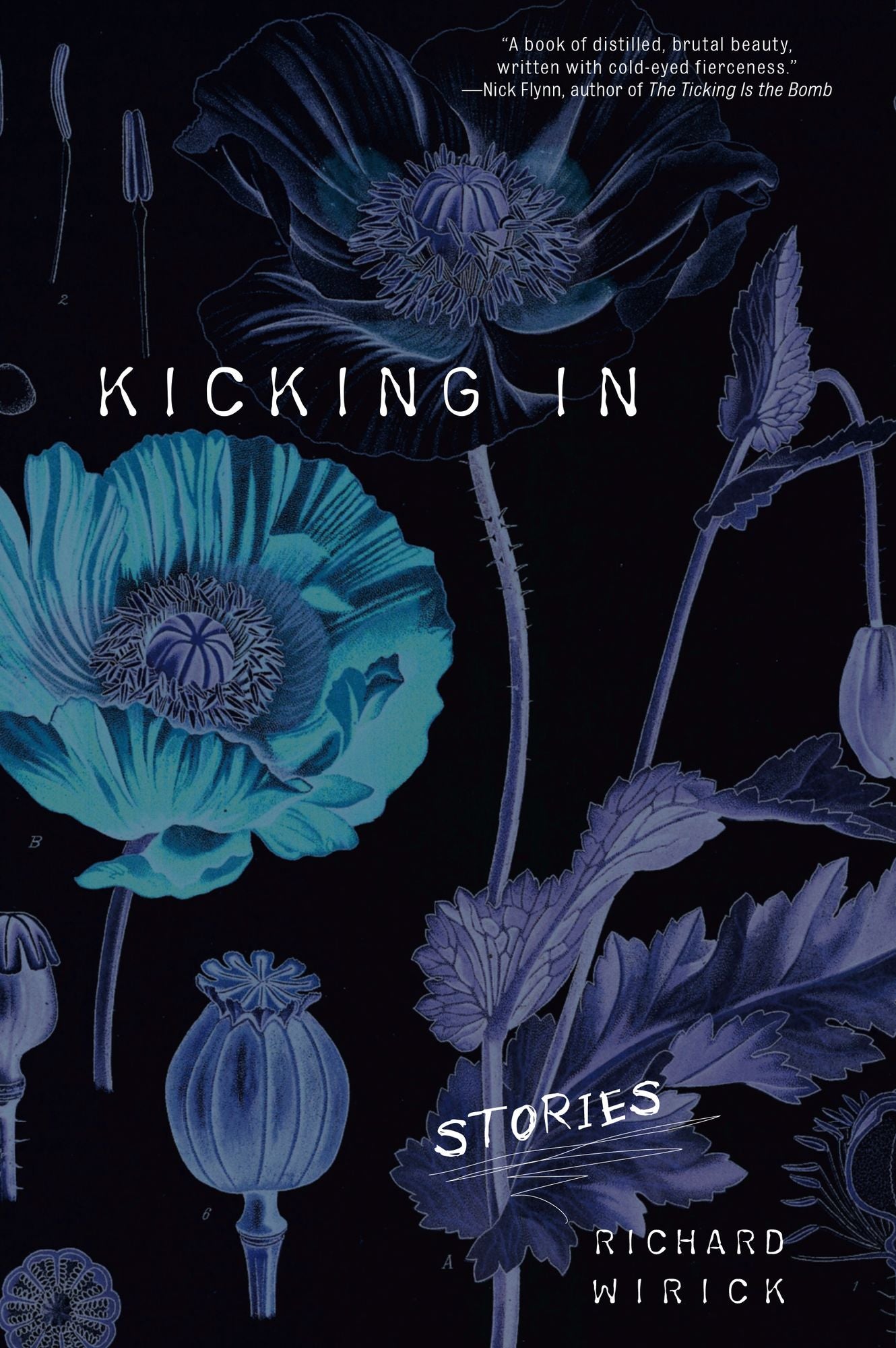 Kicking In: Stories