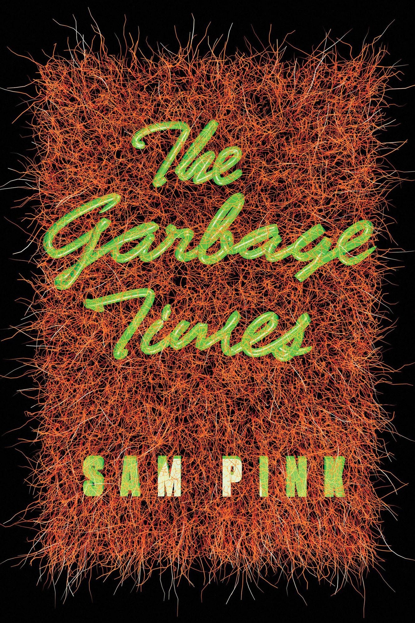 The Garbage Times/White Ibis: Two Novellas