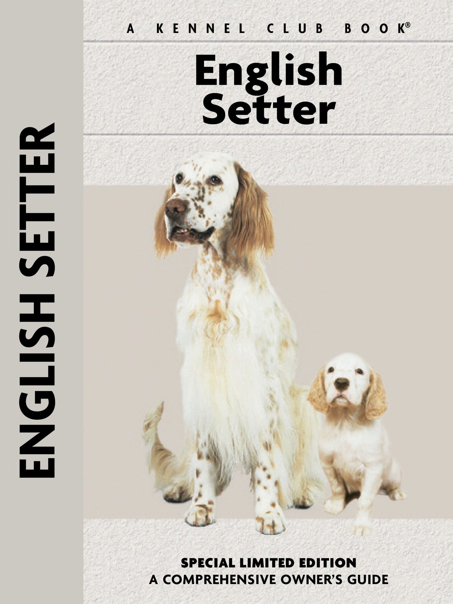 English Setter