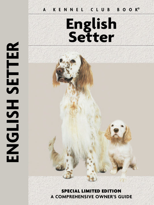 English Setter