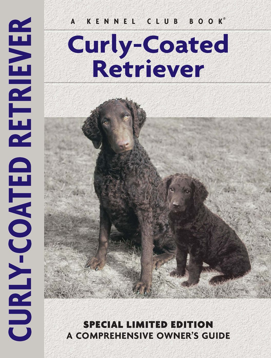 Curly-Coated Retriever