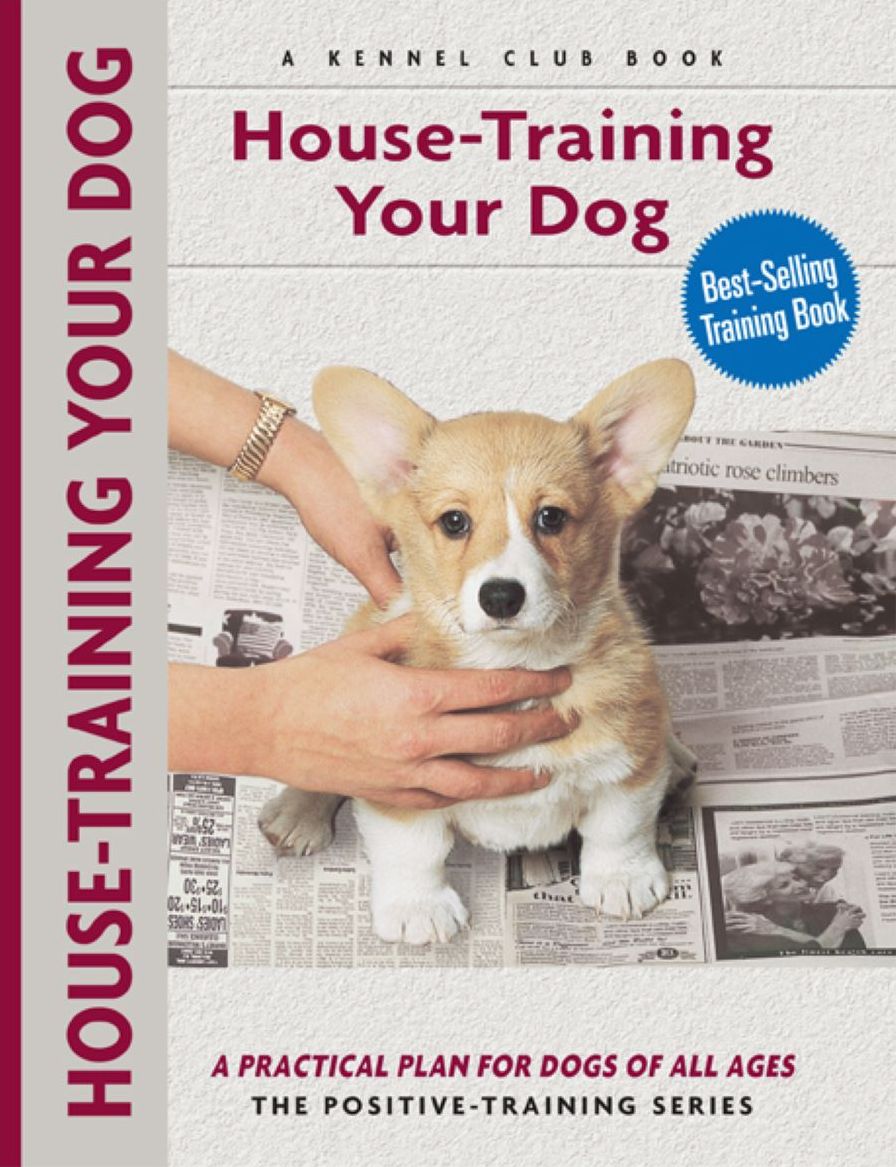 Housetraining Your Puppy