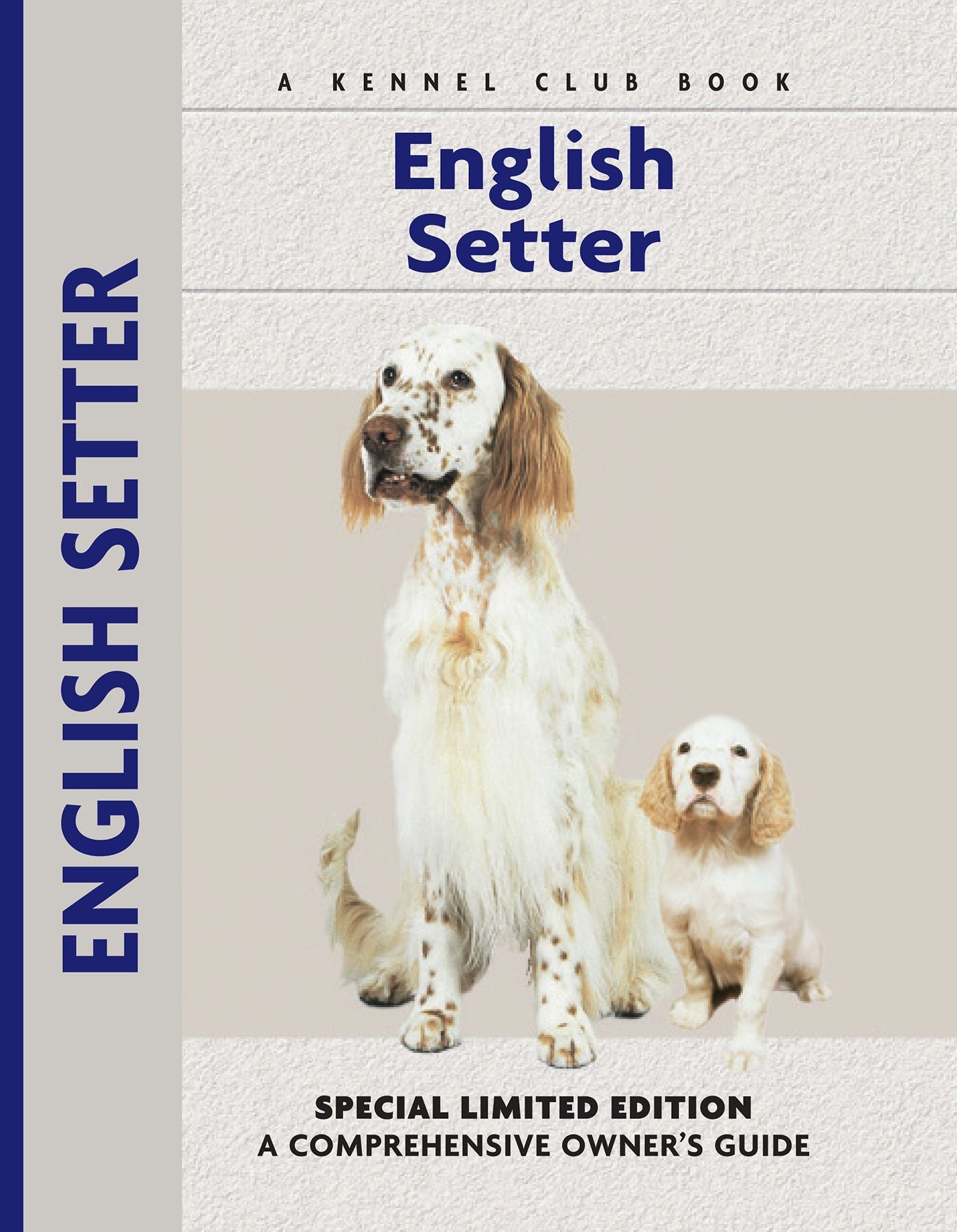 English Setter