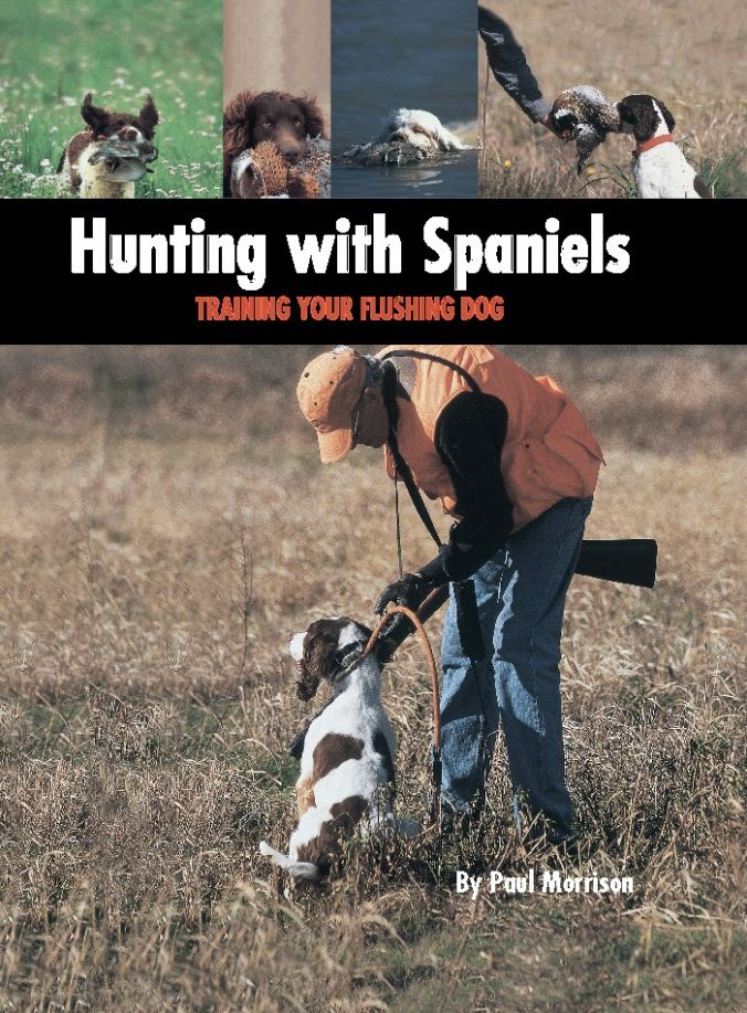 Hunting with Spaniels: Training Your Flushing Dog