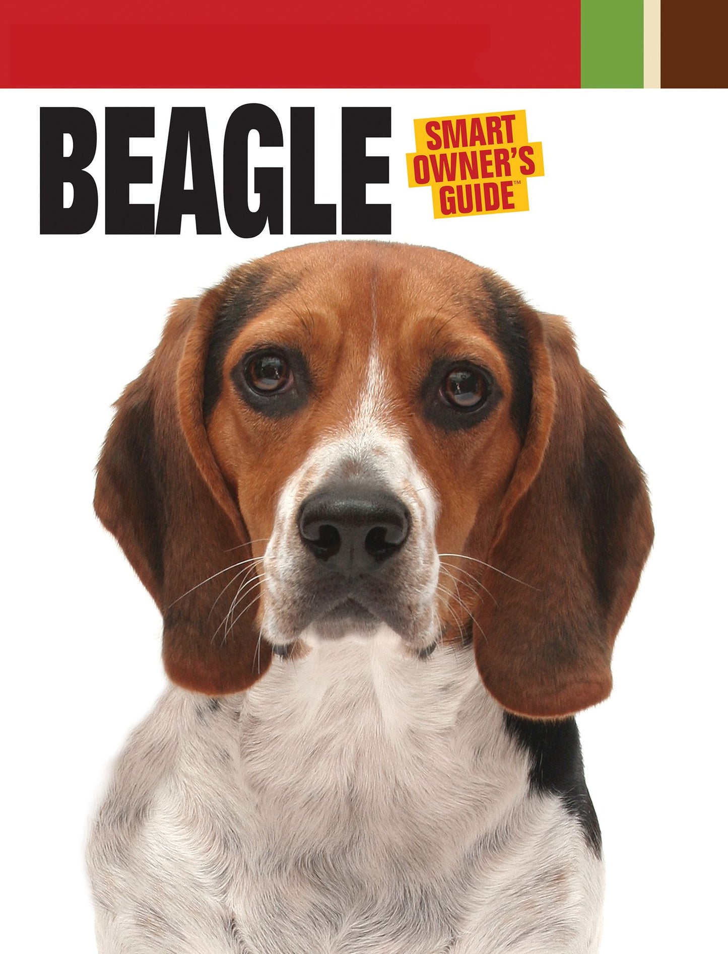 Beagle: Auswahl, Haltung, Erziehung, Beschäftigung
