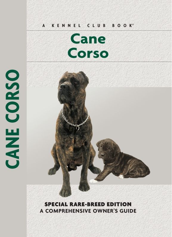 Cane Corso: Sports and Resistance in the United States