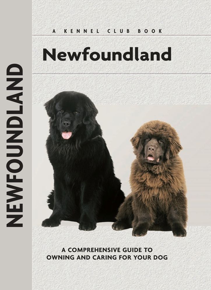 Newfoundland
