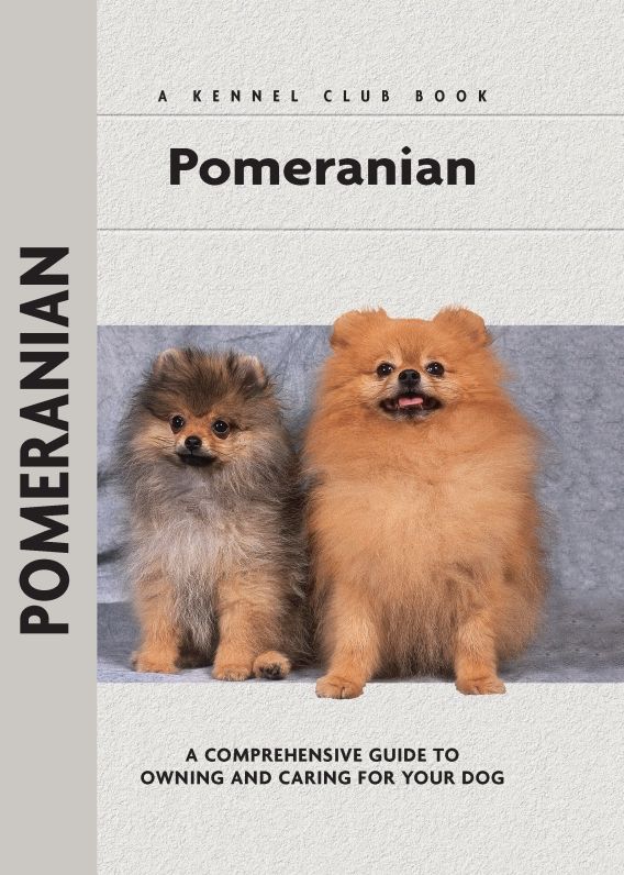 Pomeranian