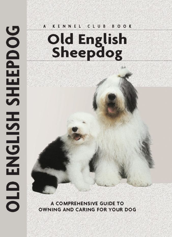 Old English Sheepdog
