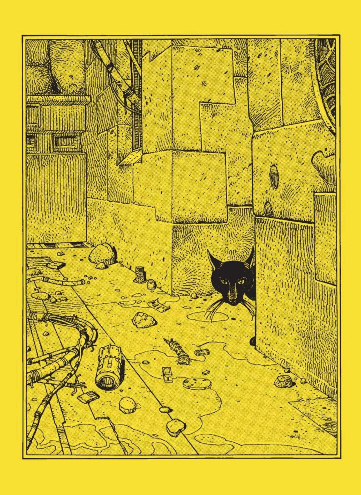 The Eyes of the Cat : The Yellow Edition