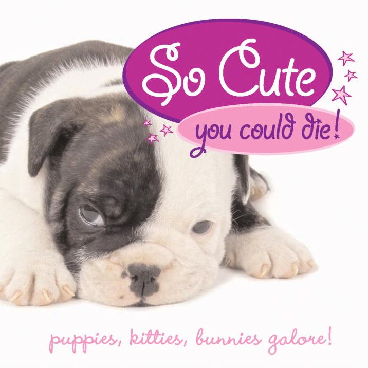 So Cute You Could Die!: Puppies, Kitties, Bunnies Galore!