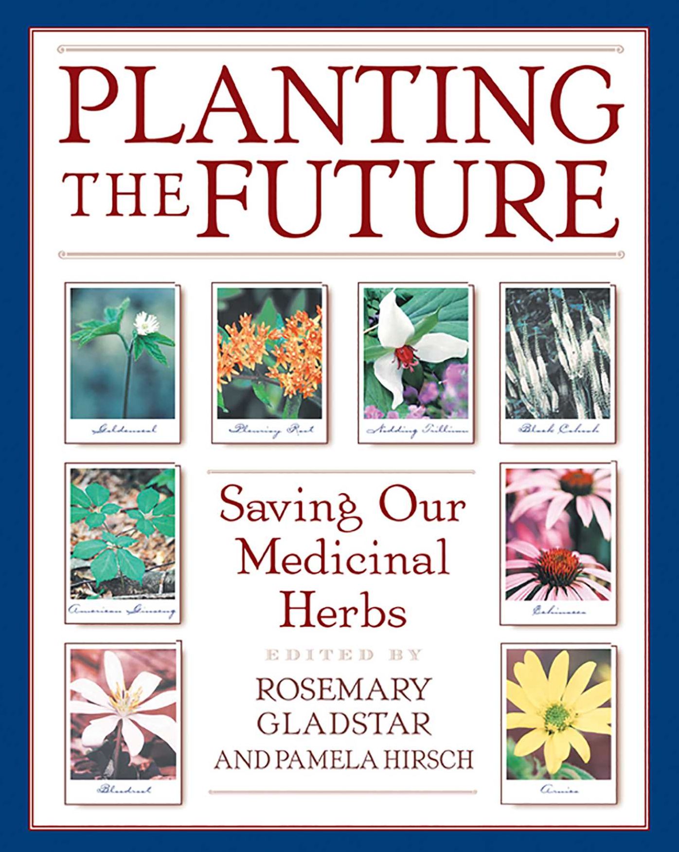 Planting the Future: Saving Our Medicinal Herbs