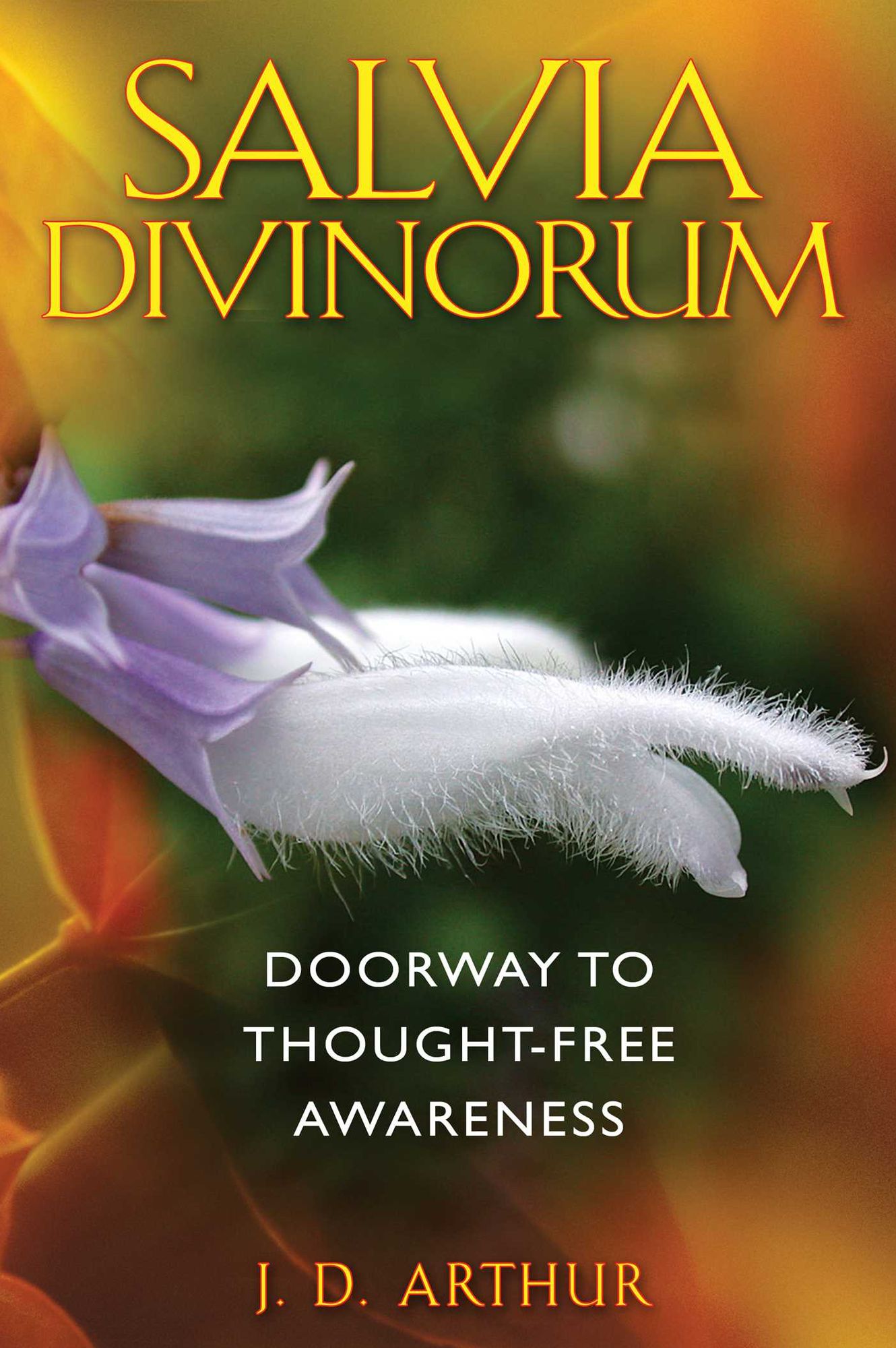 Salvia Divinorum: Doorway to Thought-Free Awareness