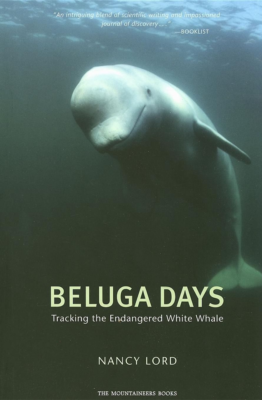 Beluga Days: Tracking the Endangered White Whale