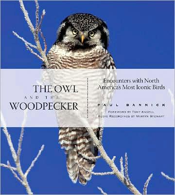 The Owl and the Woodpecker: Encounters with North America's Most Iconic Birds