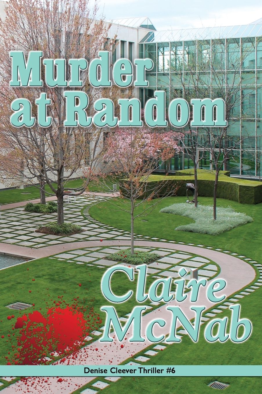 Murder at Random (Denise Cleever Series #6)
