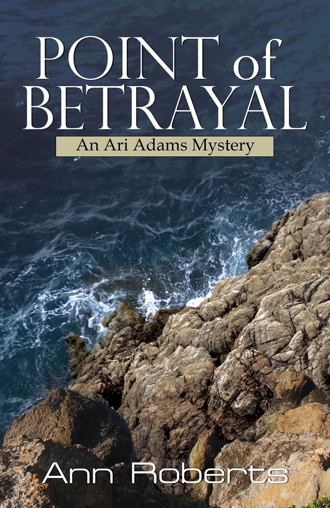 Point of Betrayal