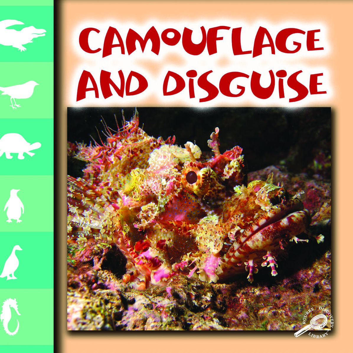 Camouflage and Disguise