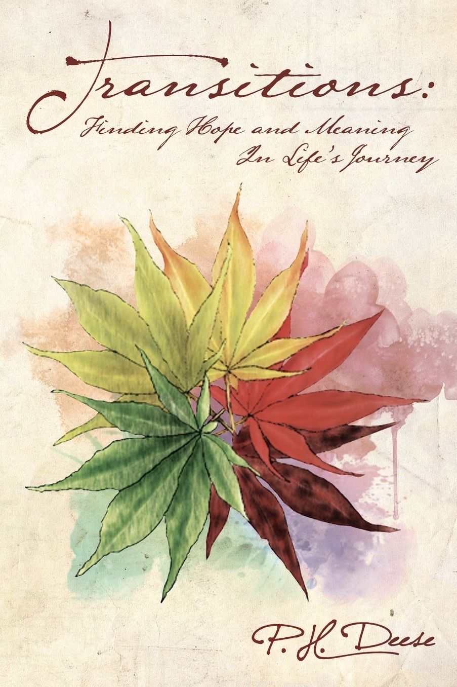 Transitions: Finding Hope and Meaning in Life's Journey