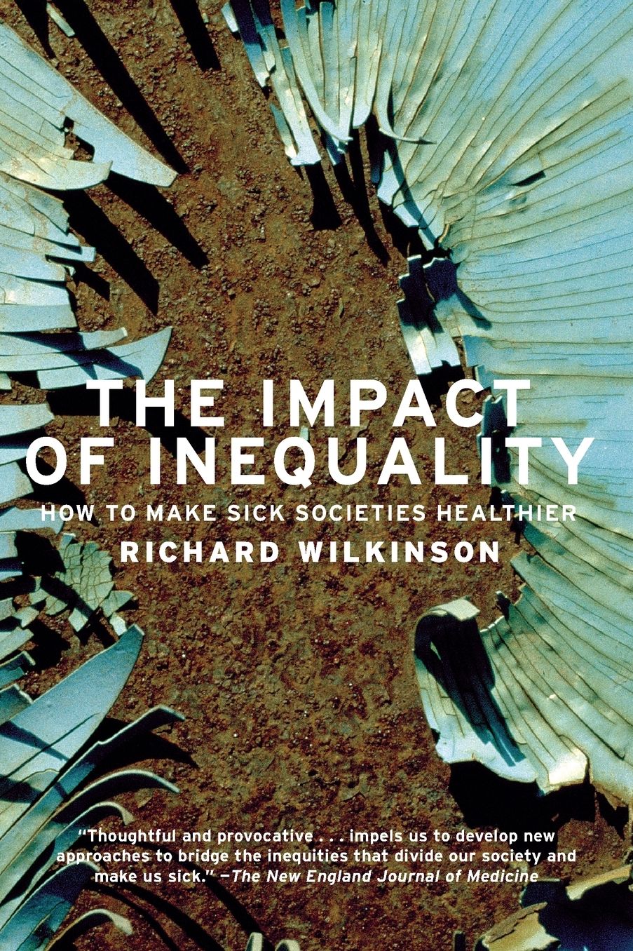 Impact of Inequality: How to Make Sick Societies Healthier