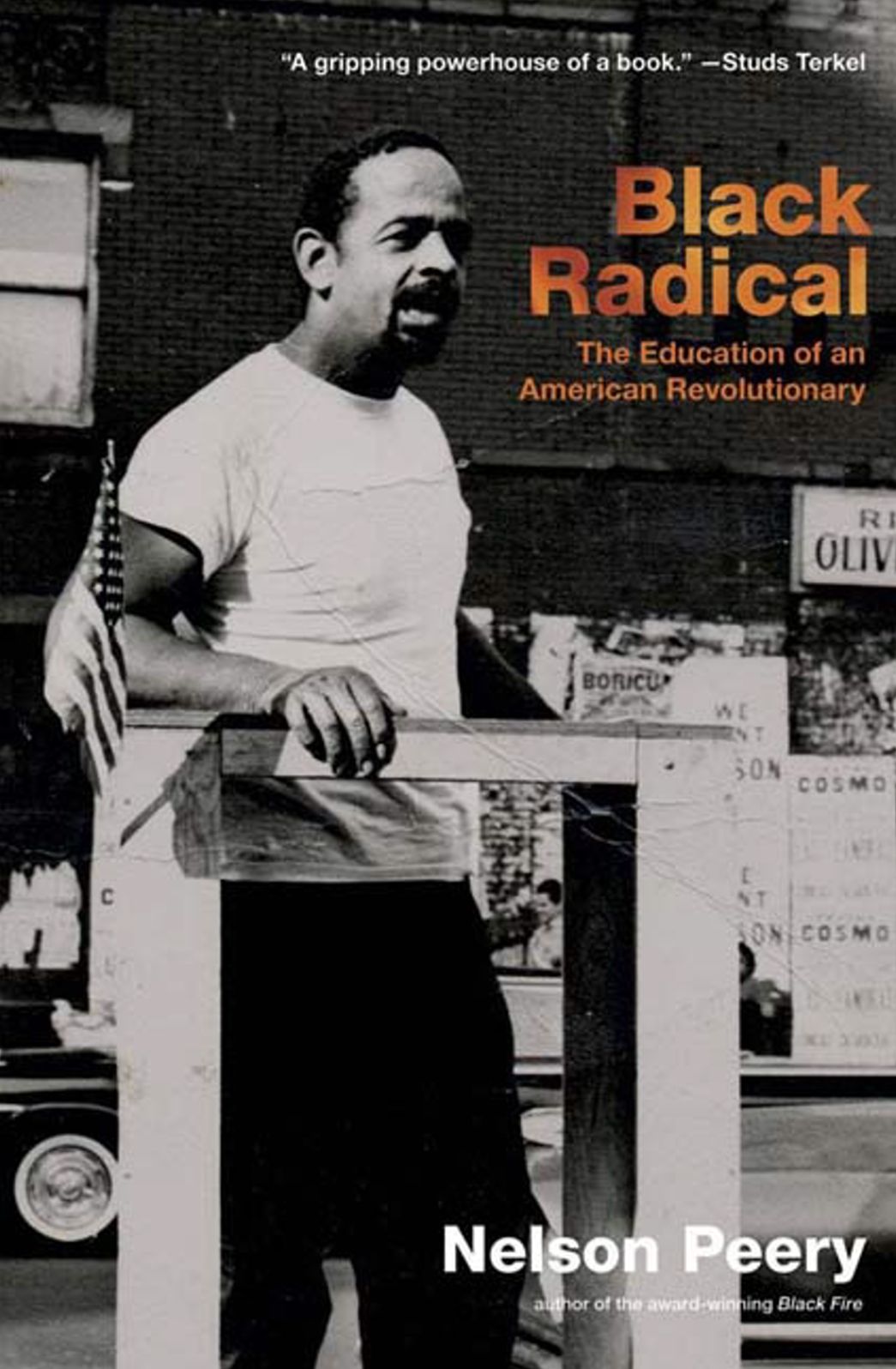 Black Radical: The Education of an American Revolutionary, 1946-1968