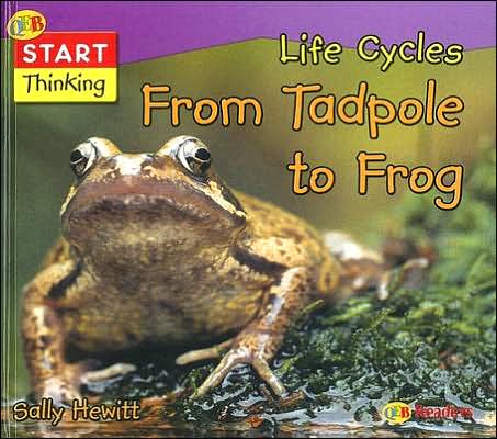 Life Cycles from Tadpole to Frog