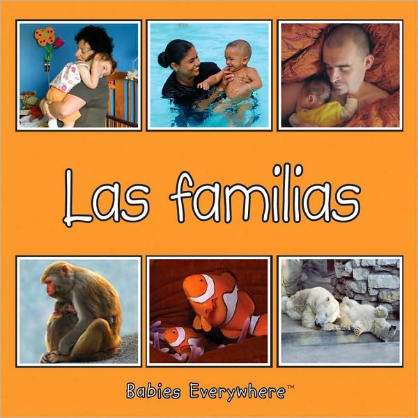 Families (Babies Everywhere Series)