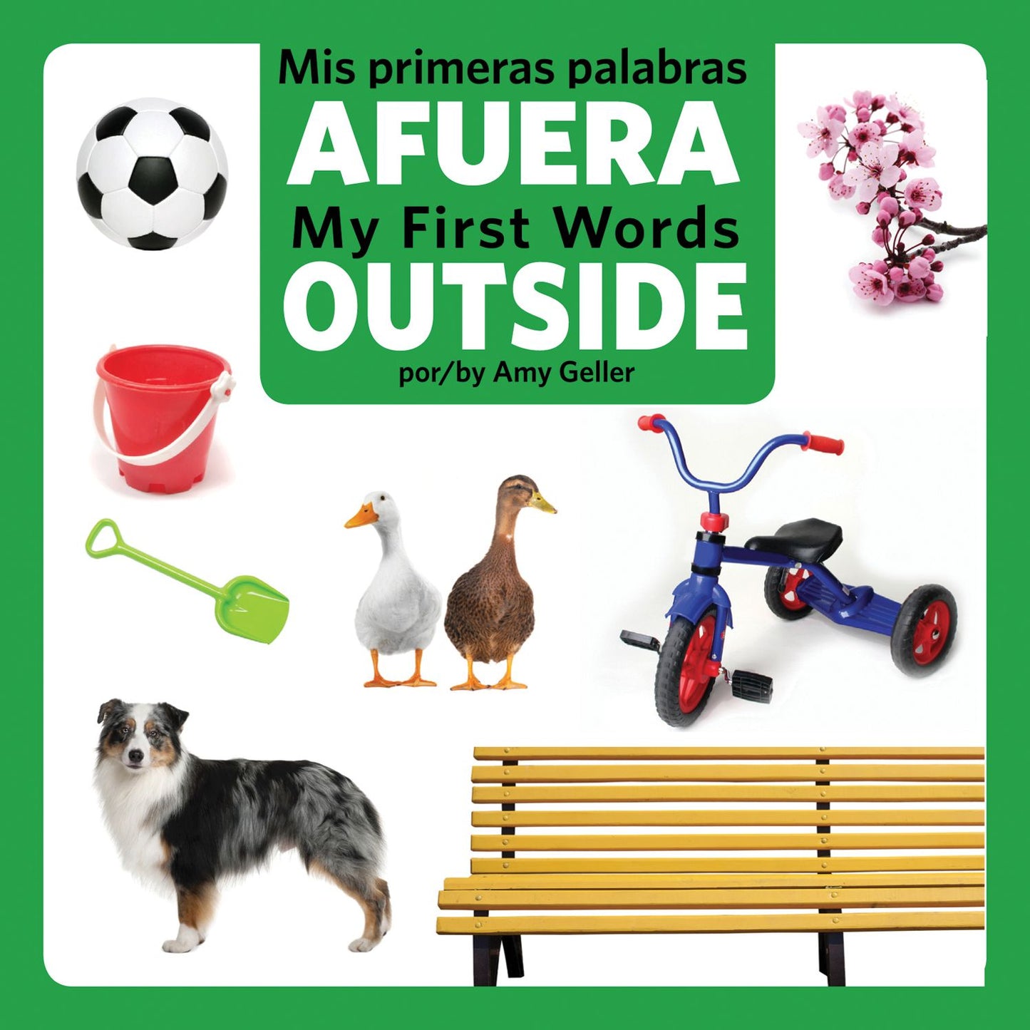 Mis primeras palabras AFUERA/ My First Words OUTSIDE