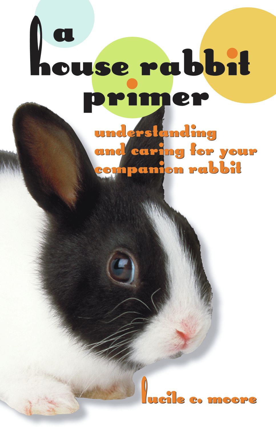 A House Rabbit Primer: Understanding and Caring for Your Companion Rabbit